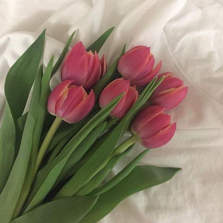 Tulips - tulips are a popular flower that come in a variety of colors, including red, yellow, pink, and white. They are known for their cup-shaped blooms and long stems.