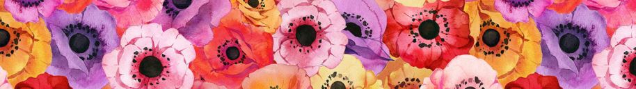 Tipos y Colores de las flores de Amapola